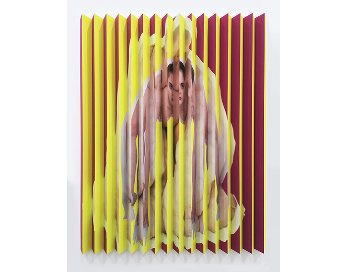 Polly-Borland-Untitled-2018-morone-&-yellow